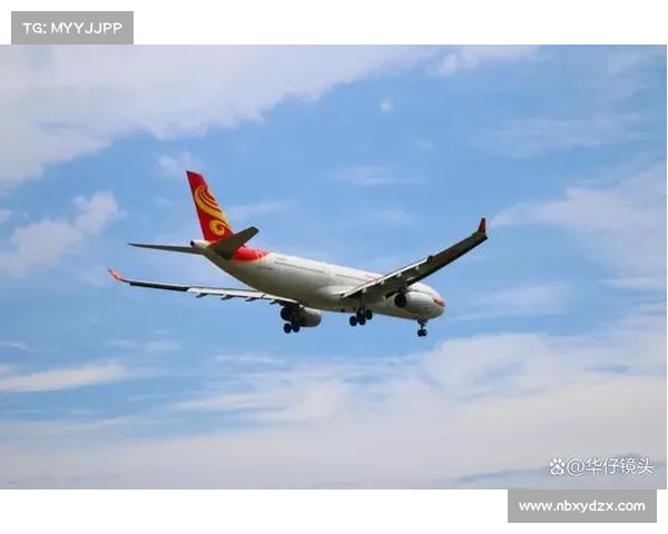 灰帽与蓝天:应对航空公司安全 在线 灰帽与蓝天:应对航空公司安全 在线
