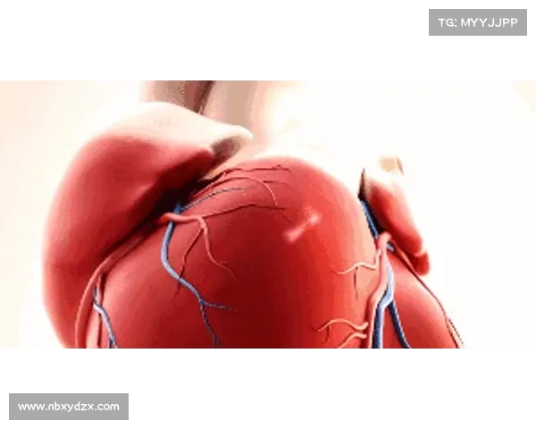 心脏出血十年:经验教训 心脏出血十年:经验教训